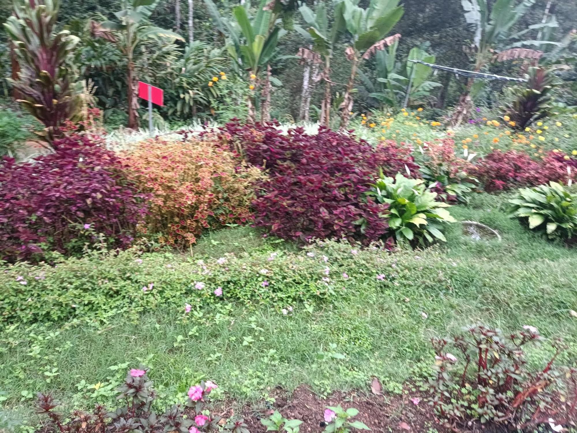 God'S Gift Villa Devikolam ภายนอก รูปภาพ